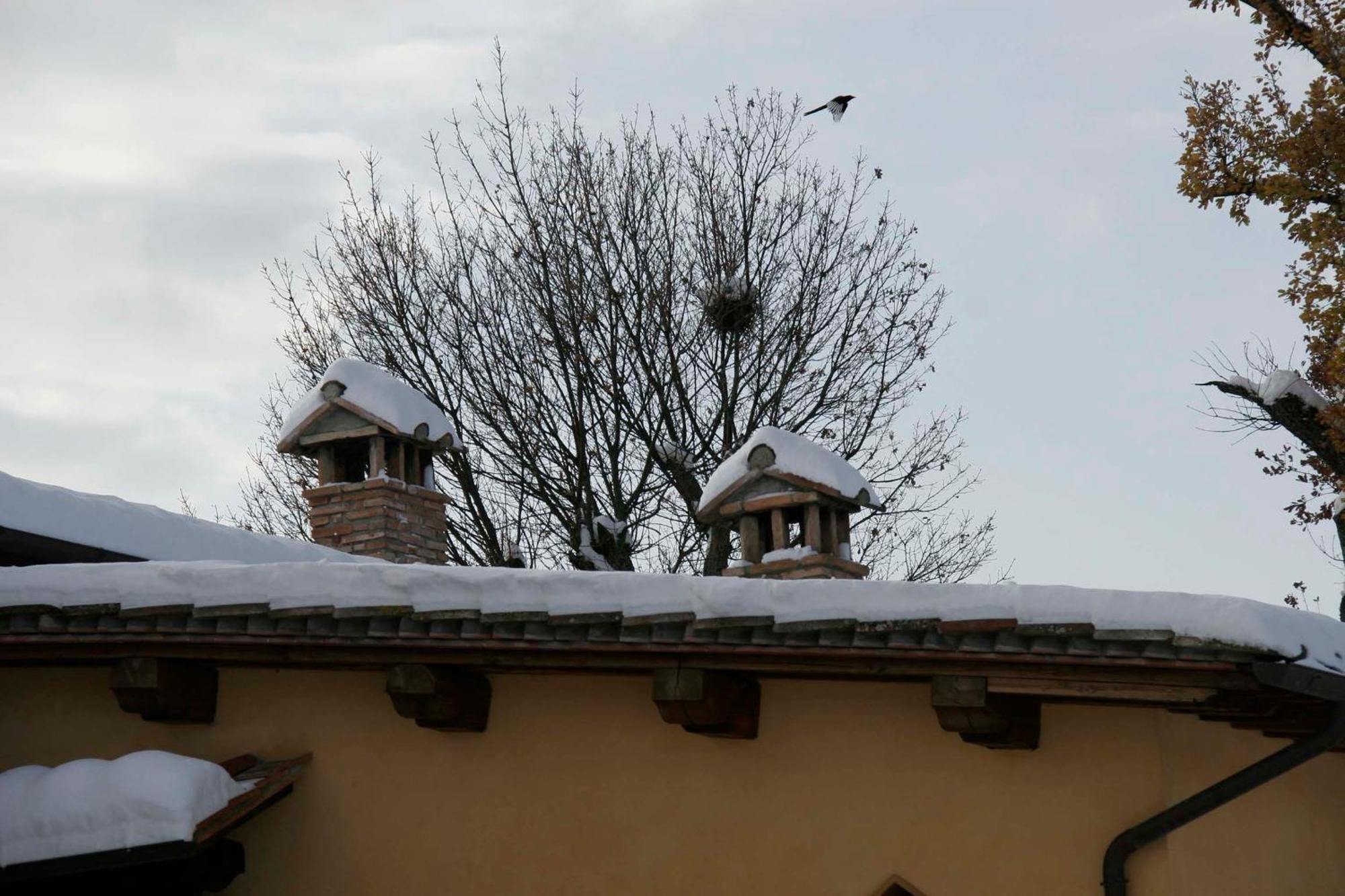 Gasthaus Il Nido Di Gabbiano Scarperia Exterior foto